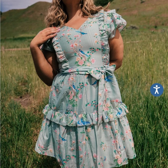 JessaKae XSmall perfect dress with Birds. - Picture 9 of 13